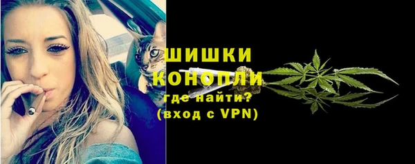 PSILOCYBIN Алексин