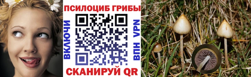 Галлюциногенные грибы Psilocybine cubensis  маркетплейс телеграм  Нижний Ломов  купить наркоту 